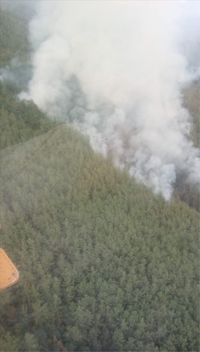 10 hektar orman yandı