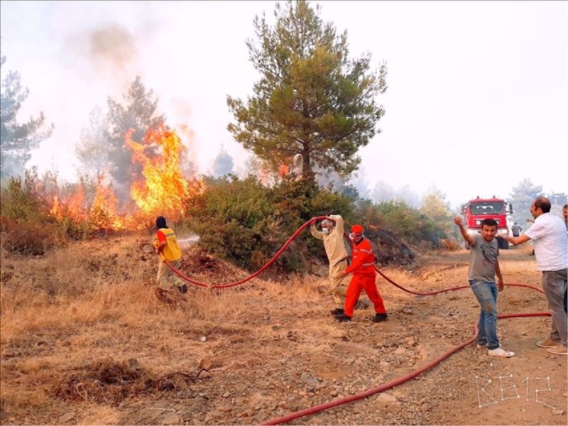 Arsuz ve Dörtyol´da 9 hektarlık orman yandı