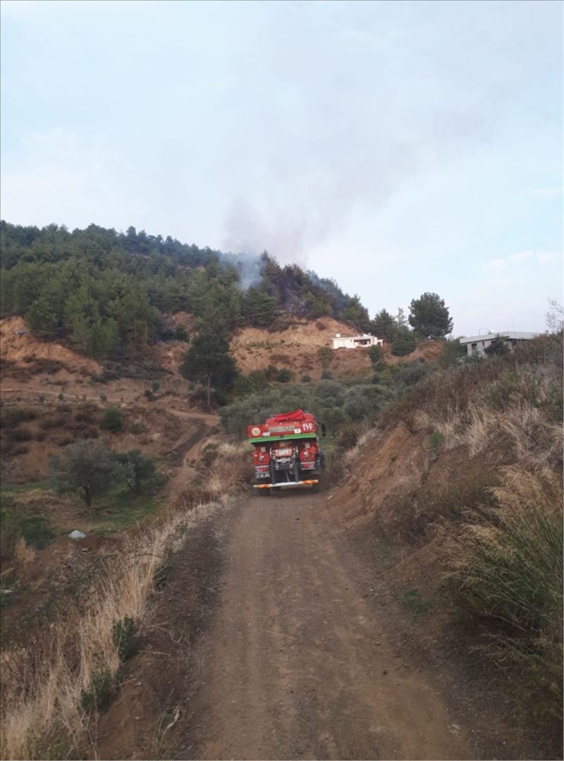İki kentte orman yangını