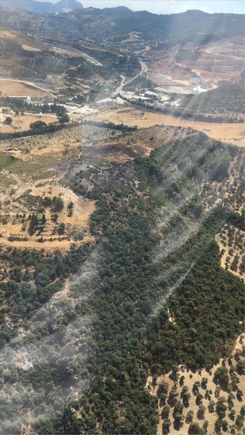 2 hektar orman örtüsü yandı