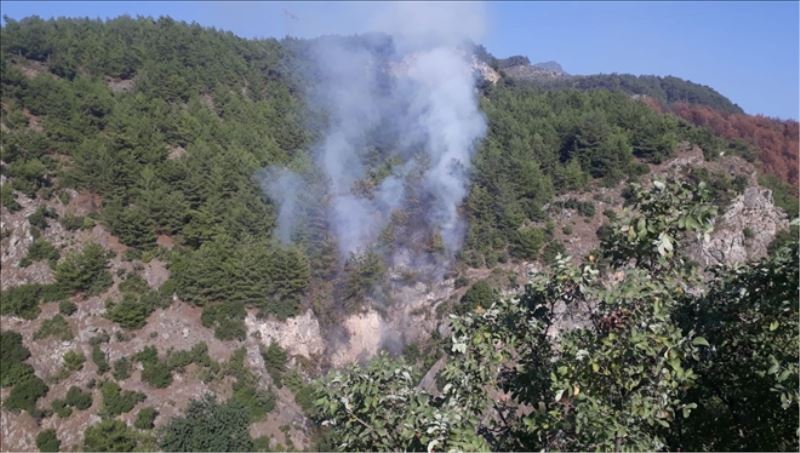 Payas´ta 1 hektar orman örtüsü yandı