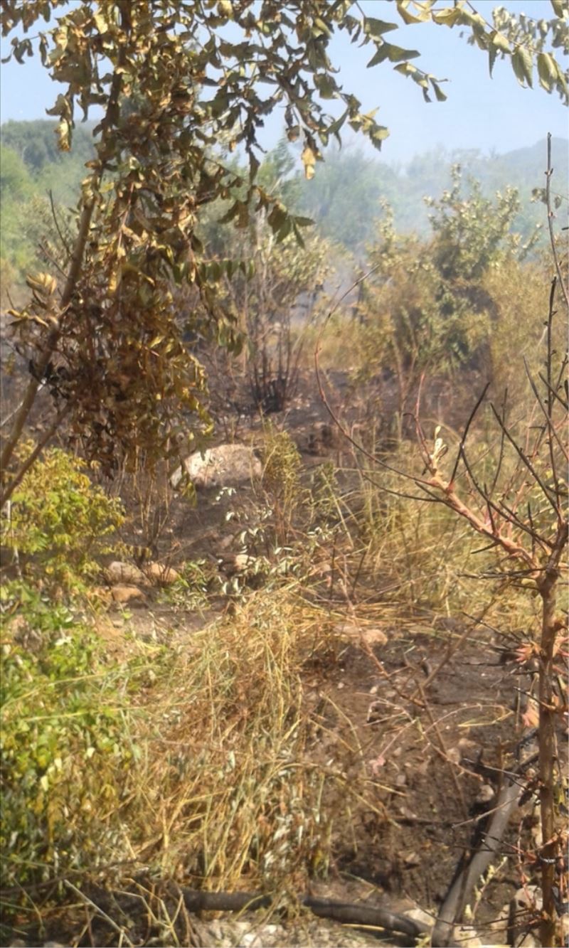 40 hektar yandı