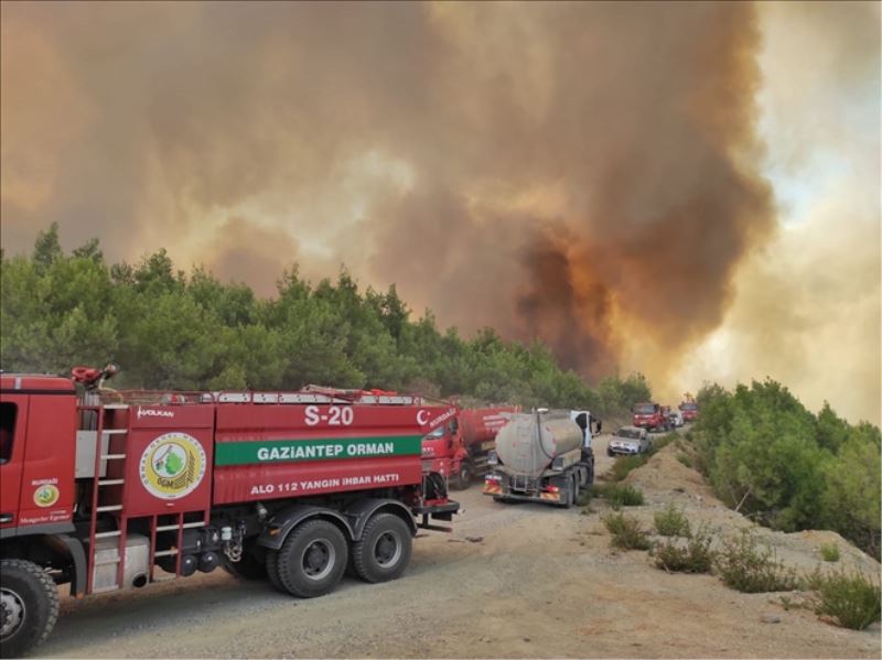 Yangın, 3 bin hektarlık alanda çıktı