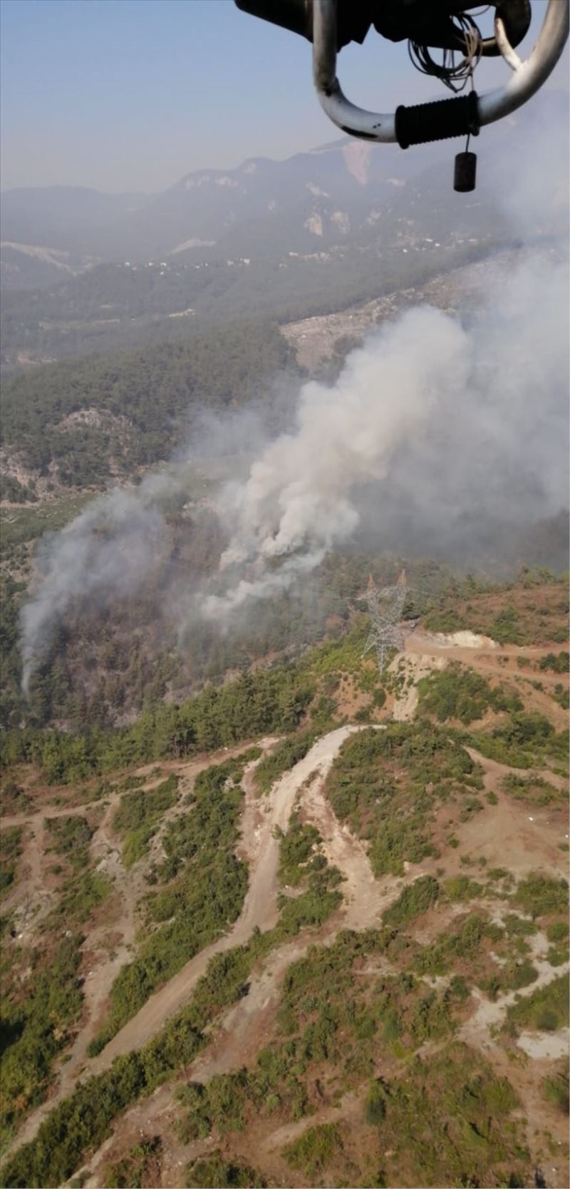 3 hektar orman örtüsü yandı