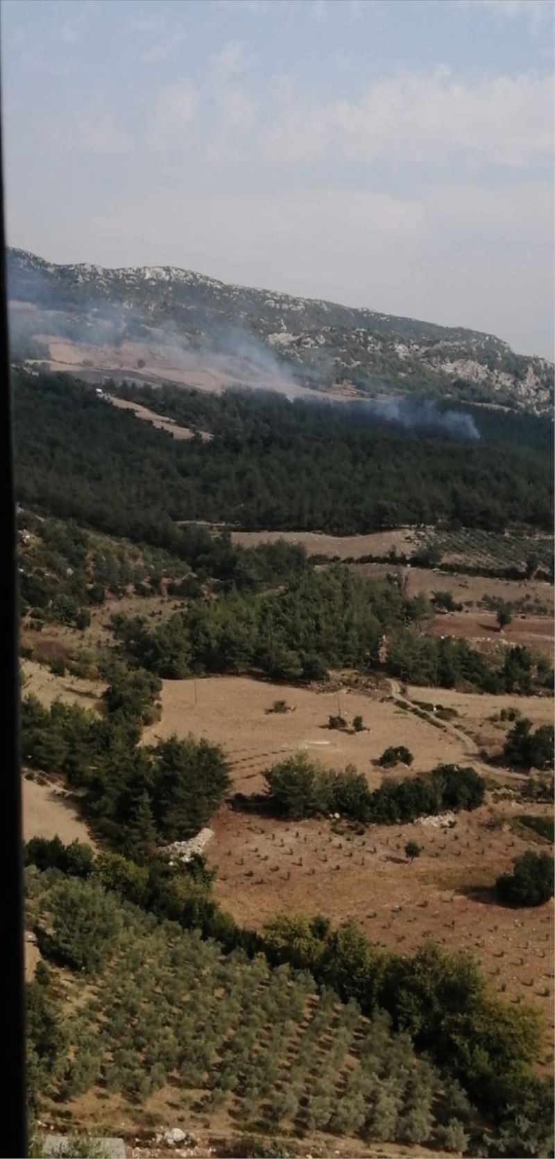2 hektar Kızılçam ormanı yandı