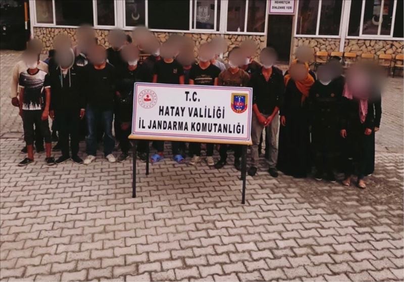 Jandarma 81 göçmeni yakalandı