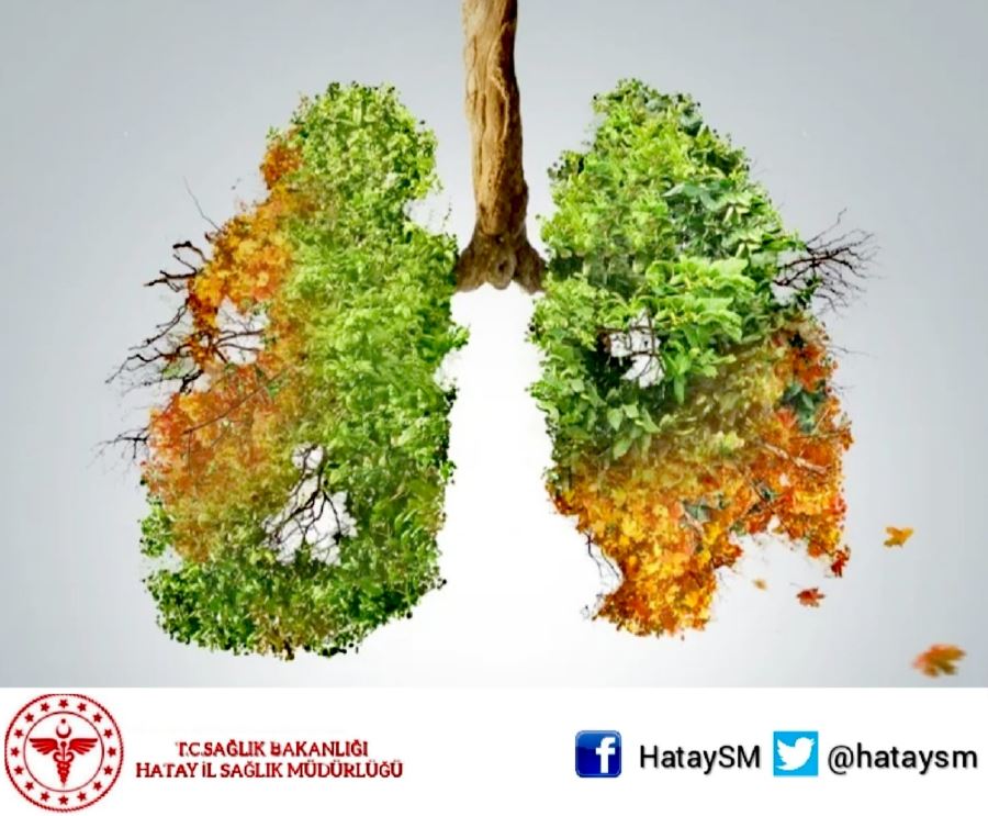 Bir yılda 1.8 milyon kişi akciğer kanserinden öldü 