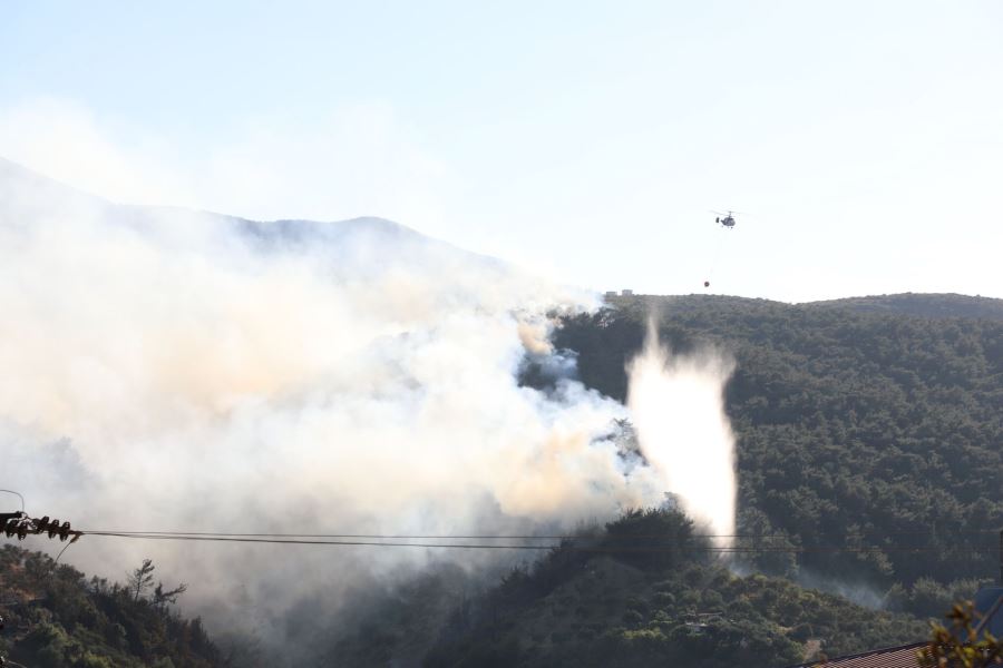 Yangın 250 hektarlık alana yayıldı