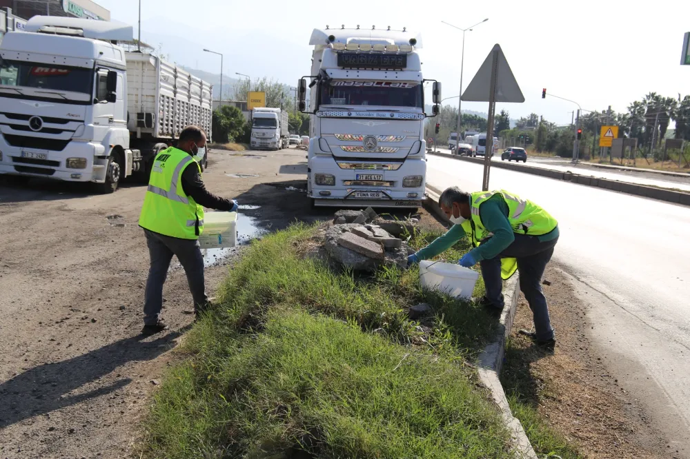 HBB’den farelere karşı ilaçlama