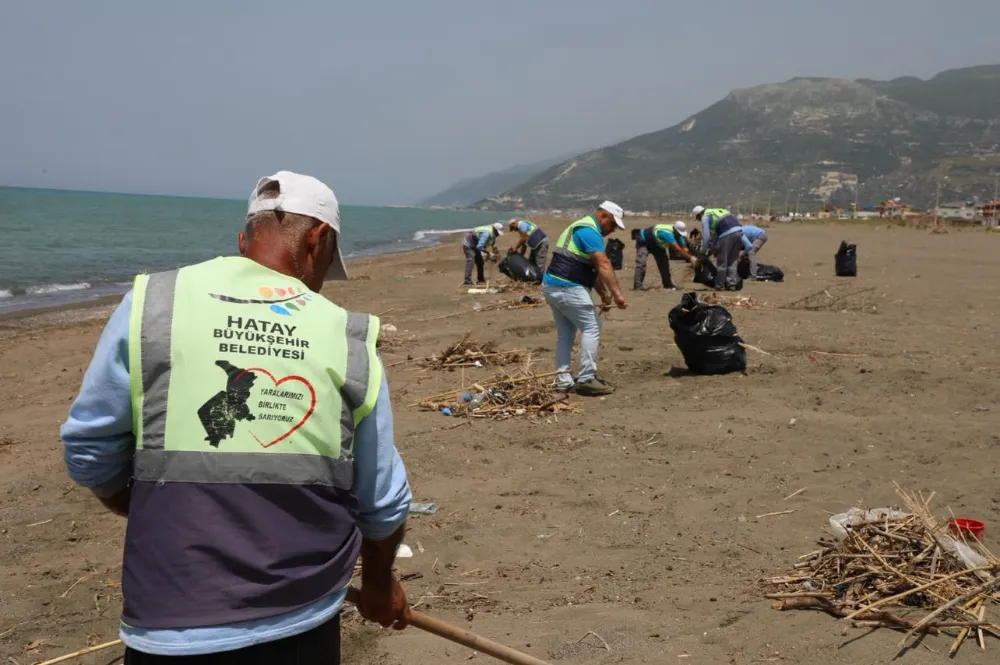 Deniz kaplumbağasının üreme alanı temizlendi