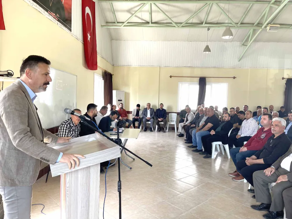 Üniversite alanına, 